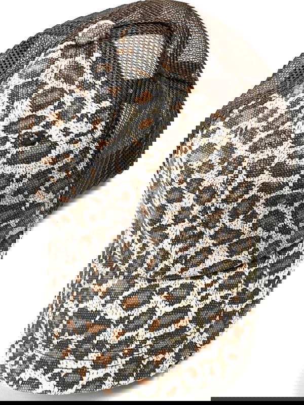 Brown Leopard Mesh Back Trucker Hat - - The Queens Hanger Boutique -