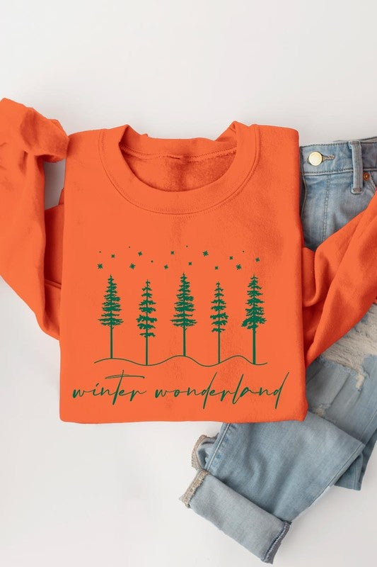 Winter Wonderland Graphic Fleece Sweatshirts